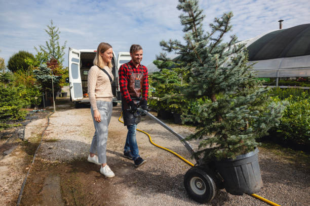 Best Residential Tree Removal  in USA